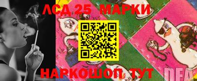 индика Аргун