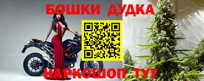 индика Аргун