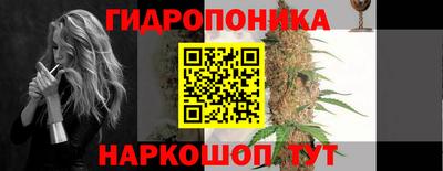 индика Аргун