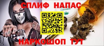 индика Аргун
