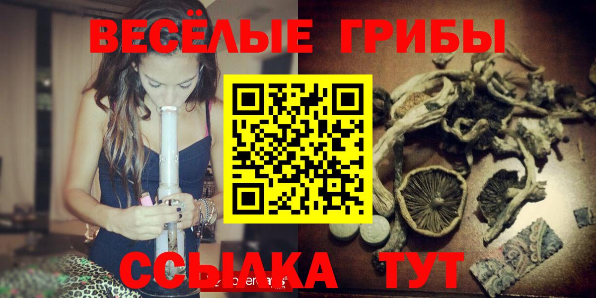 наркотики  Вход с VPN  Псилоцибиновые грибы Psilocybe  Баксан  Псилоцибиновые грибы Cubensis 